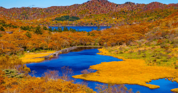 秋色湿地、蓝色湖水与延伸的木栈道