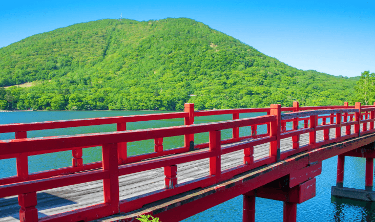 湖畔红桥与青翠山林,景观参考图